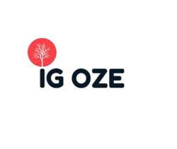 IG OZE Instalacje Grzewcze Marek Meger