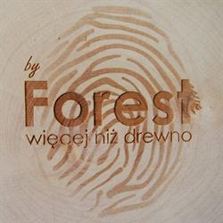 by Forest Drewno Opałowe Kominkowe
