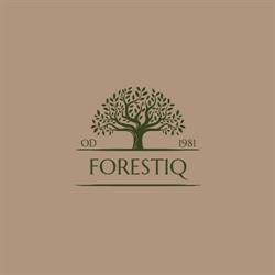 FORESTIQ - Producent wyrobów dla przemysłu drzewnego