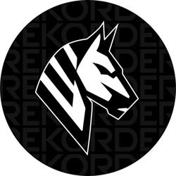 Rekorder.pl - Monitoring i Systemy Smart