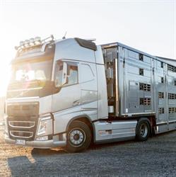 Livestock - Transport żywych zwierząt, Punkt Odpoczynku Zwierząt