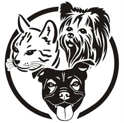 Salon pielęgnacji psów Viva la Perro