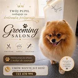 Grooming Salon Spa dla Psa