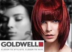 Studio Fryzjerskie Grzegorz Szwej Goldwell