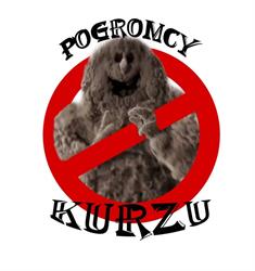 Firma sprzątająca Pogromcy Kurzu Toruń