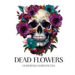 Hurtownia Florystyczna DEAD FLOWERS Jacek Kozieł