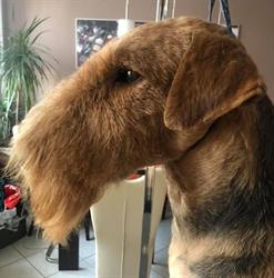 Grooming Studio MB