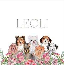 Leoli