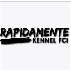 Rapidamente Kennel FCI