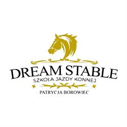 Dream Stable - Szkoła jazdy konnej