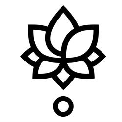 Nova Yoga