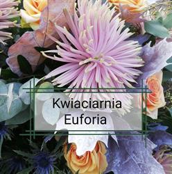 Euforia
