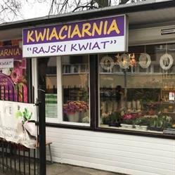 Kwiaciarnia "Rajski Kwiat"