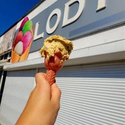 Lody Hoża 14