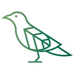 Zielona Wrona