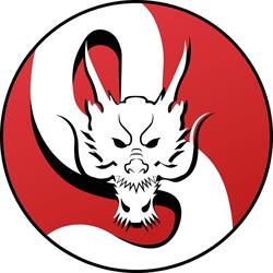 Dragon Detailing Brzozówka - ręczna myjnia samochodowa & autodetailing