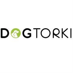 Przychodnia Weterynaryjna DOGtorki
