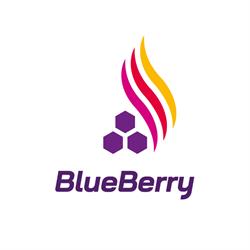 Autoport Opatówek - Stacja paliw BlueBerry