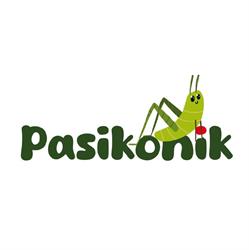Niepubliczny Żłobek i Przedszkole Pasikonik w Kielcach