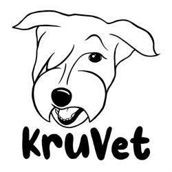 KruVet Przychodnia Weterynaryjna - Weterynarz Piaseczno