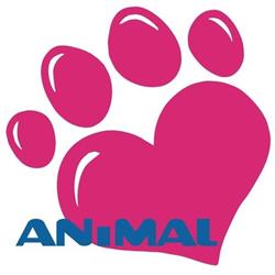 ANIMAL Przychodnia Weterynaryjna
