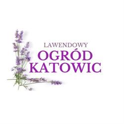 Lawendowy Społeczny Ogród Katowice