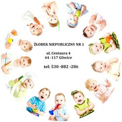Żłobek Niepubliczny Nr 1 w Gliwicach