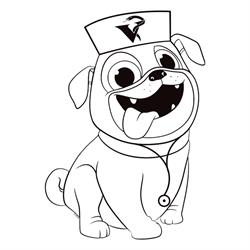 Książenicka Przychodnia Weterynaryjna Doktor Hau