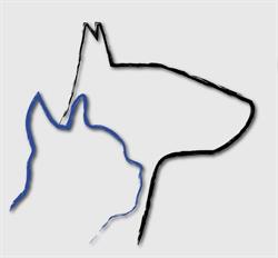 Przychodnia Weterynaryjna Animals lek. wet. Kamila Majewska