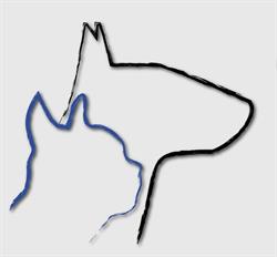 Przychodnia Weterynaryjna Animals lek. wet. Kamila Majewska