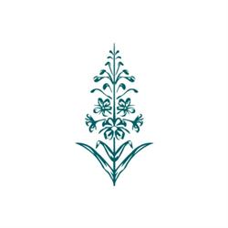 Berkovicz Tatra Cosmetics