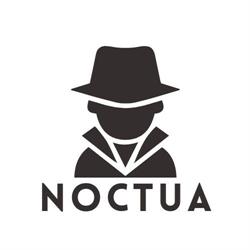 Detektyw Sosnowiec - Usługi detektywistyczne NOCTUA