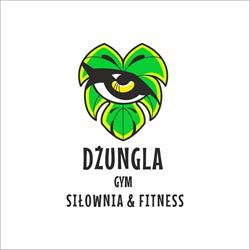 Dżungla Gym