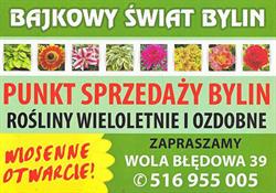 Bajkowy świat bylin