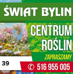 Bajkowy świat bylin