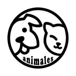 Karma i akcesoria dla psów i kotów - Animales