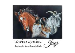 Zwierzyniec Jagi - Stadnina