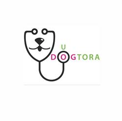 Przychodnia weterynaryjna "u DOGtora"
