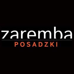 Zaremba Posadzki Michał Zaremba - wykonawca, naprawy posadzek