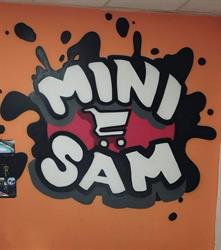 Mini Sam
