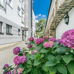 MayApartments