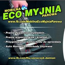 Mobilna ECO Myjnia Parowa