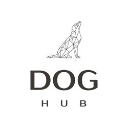 Dog Hub - przyjedź z psem, szkolenia i obozy