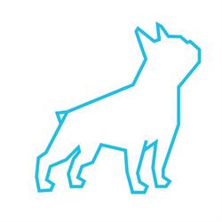 RehaDog
