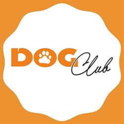 Szkolenia psów, handling Dog Club