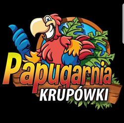 Papugarnia Krupówki Zakopane