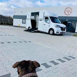 HORSETRANS MURACZEWSKI SP. z o.o. Producent Koniowozów
