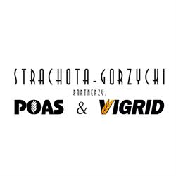 Vigrid