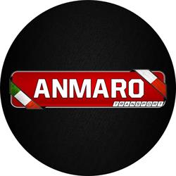 ANMARO TRANSPORT Damian Pizoń