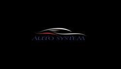 Wiśniewski AUTO SYSTEM